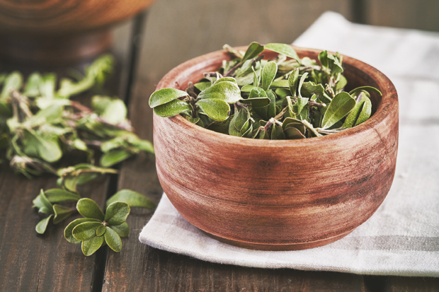 Увин чај - моћан природни лек против уринарних инфекција: Овако га треба пити